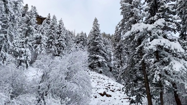 科罗拉多州博尔德市附近新下的雪覆盖了大地视频素材