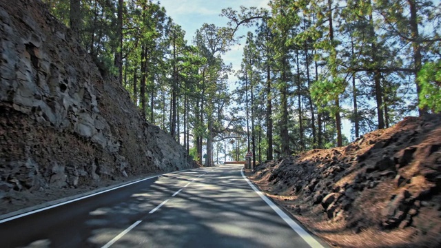 完美的柏油山路。新涂的道路标记。路边布满岩石，背景是绿色的针叶树。开车到山上旅行的概念。阳光刺眼视频素材