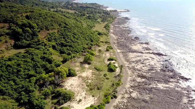 平静的海水冲刷海岸覆盖热带植物视频素材