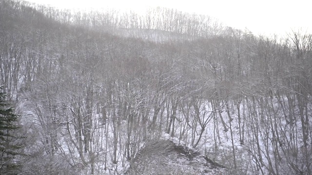 日本南上县的雪视频素材