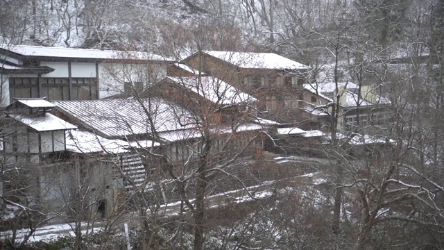 日本南上县的雪视频素材