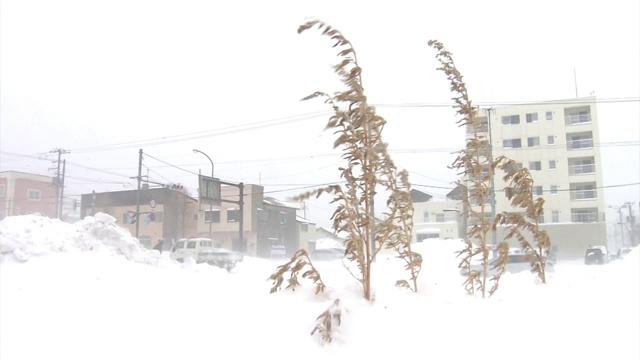 在雪灾，北海道，日本的城镇景观视频素材