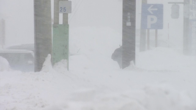 父母和孩子在暴风雪中行走，北海道，日本视频素材