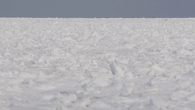 浮冰覆盖的海洋，北海道，日本视频素材