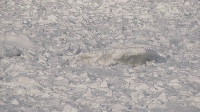 CU漂流冰，北海道，日本视频素材