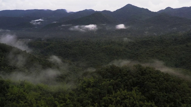 空中拍摄的山和云在森林视频素材