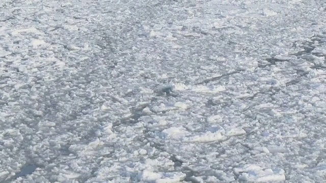 被浮冰覆盖的海洋，北海道，日本视频素材