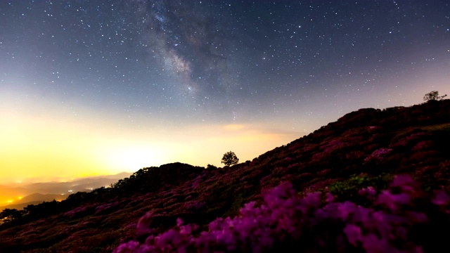 黄麻山/平川郡，庆尚南道，韩国，皇家杜鹃花和夜空视频素材