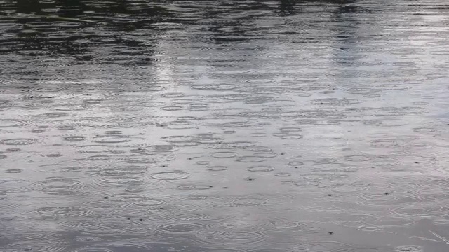 雨滴落在湖面上视频素材