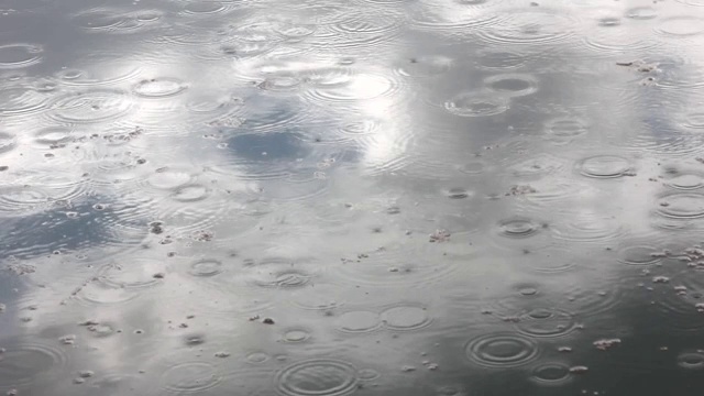 雨滴落在湖面上视频素材