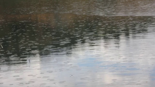 雨滴落在湖面上视频素材