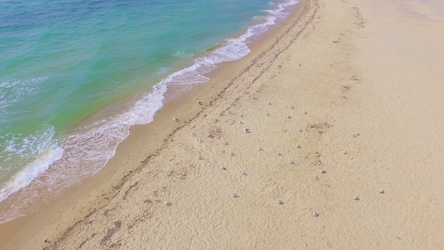 宽敞的沙滩，空旷的海滩和海浪在美丽的晴天-无人机镜头视频素材