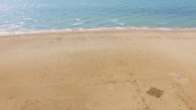 宽敞的沙滩，空旷的海滩和海浪在美丽的晴天-无人机镜头视频素材