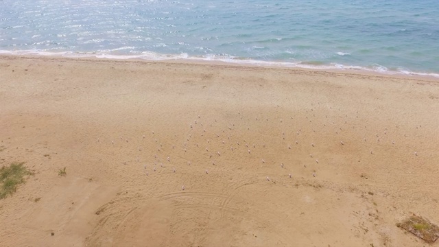 宽敞的沙滩，空旷的海滩和海浪在美丽的晴天-无人机镜头视频素材