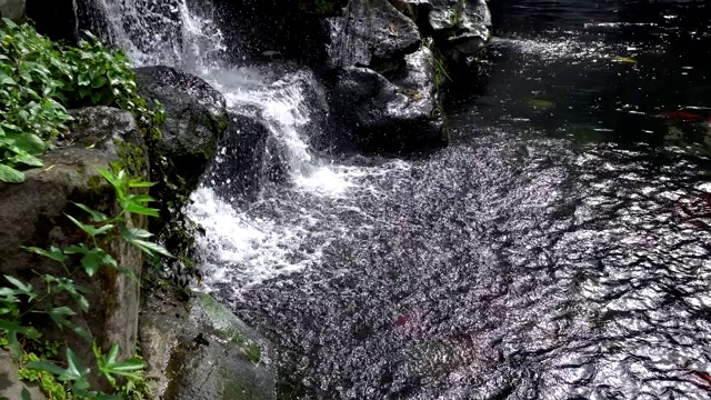 近距离观察瀑布。水流过岩石峭壁流入一个深水池。长时间拍摄视频素材