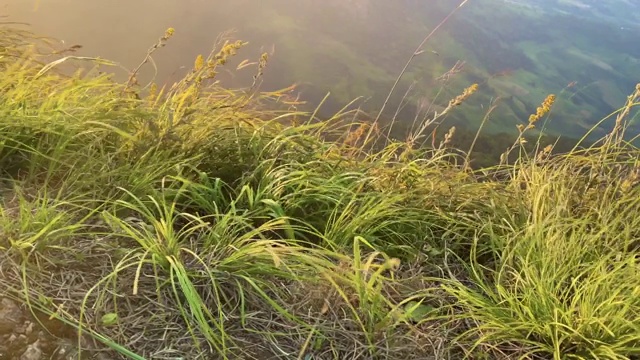 山峰视频下载