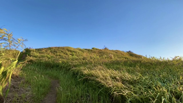 山峰视频下载