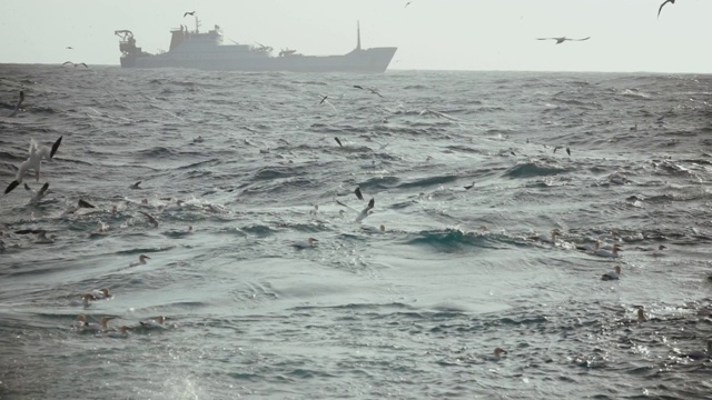 在波涛汹涌的海面上出海的拖网渔船视频素材