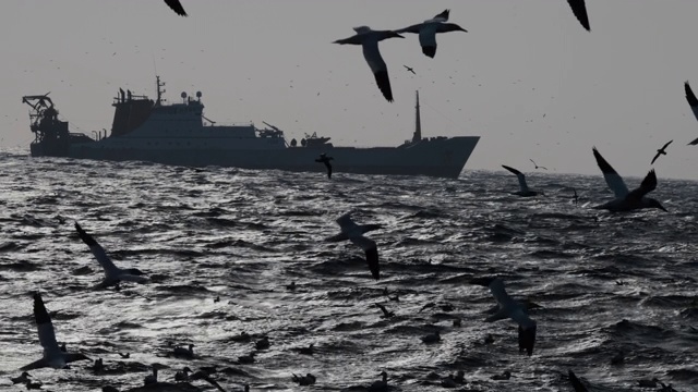 在波涛汹涌的海面上出海的拖网渔船视频素材