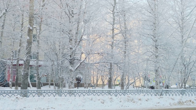 下雪的冬天在阳光明媚的霜雪天，树下大雪，冬天来了，慢动作视频素材