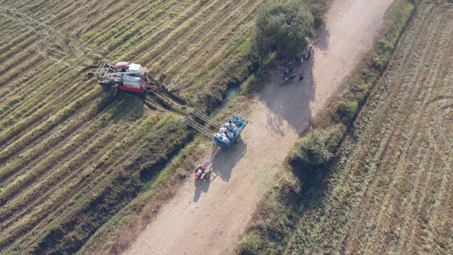 联合收割机在将收获的大米装进麻袋后返回地里的嗡嗡声视频素材