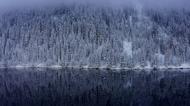 鸟瞰图的冬天的树林雪树枝在冬季森林的观点。视频素材