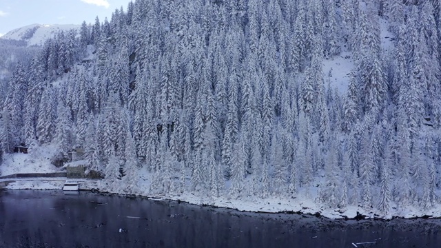 鸟瞰图的冬天的树林雪树枝在冬季森林的观点。视频素材