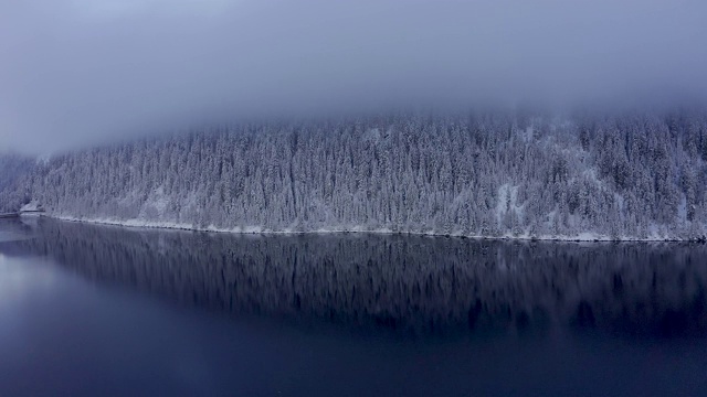 鸟瞰图的冬天的树林雪树枝在冬季森林的观点。视频素材