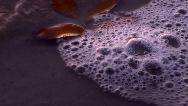 水面上的秋叶特写视频素材