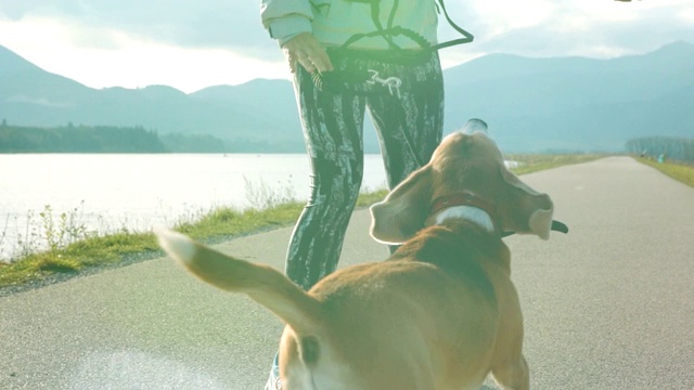 慢动作的女人跑与小猎犬在皮带上跳起来挥舞她的手，戏弄小猎犬视频素材