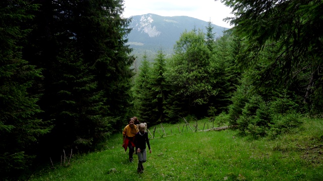 活跃的家庭妈妈和女儿在山上徒步旅行视频素材