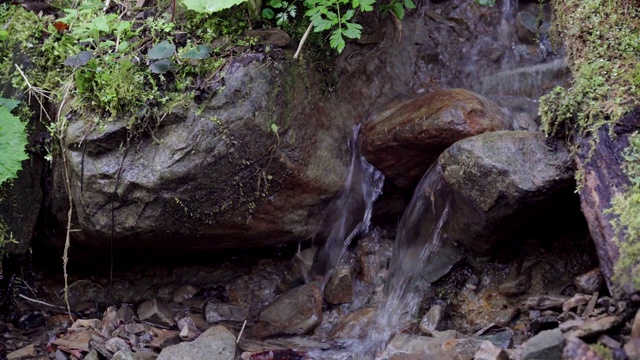 森林里狂风暴雨的山河视频素材