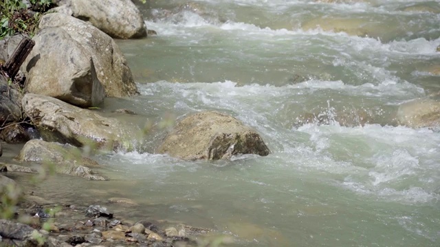 森林里狂风暴雨的山河视频素材