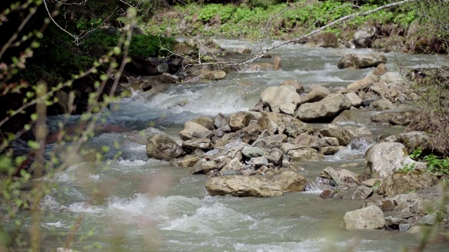 森林里狂风暴雨的山河视频素材