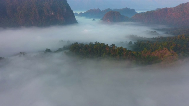 在雾中视频素材