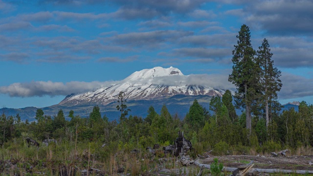 Calbuco火山视频下载