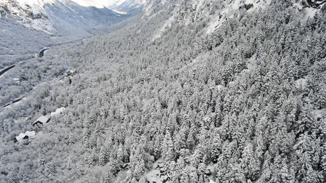 雪福勒斯特视频素材