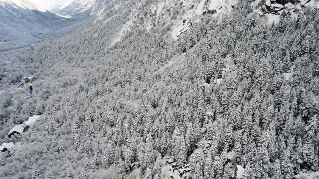 雪福勒斯特视频素材