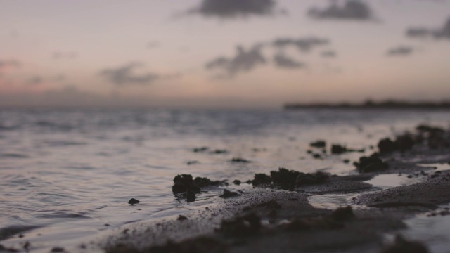 海边的日落视频素材