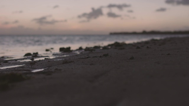 海边的日落视频素材