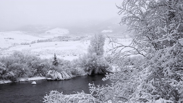 河流在科罗拉多山脉的森林里下雪。静态照相机。视频素材