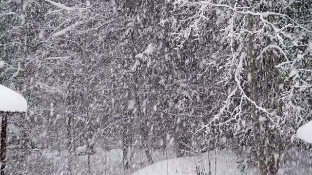 外面的草坪上正下着雪视频素材