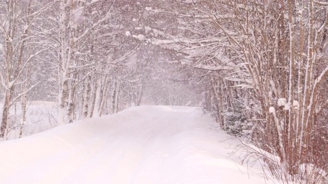 仔细看这条被雪覆盖的道路视频素材