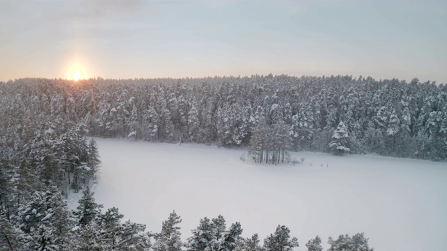 树被雪覆盖的鸟瞰图视频素材