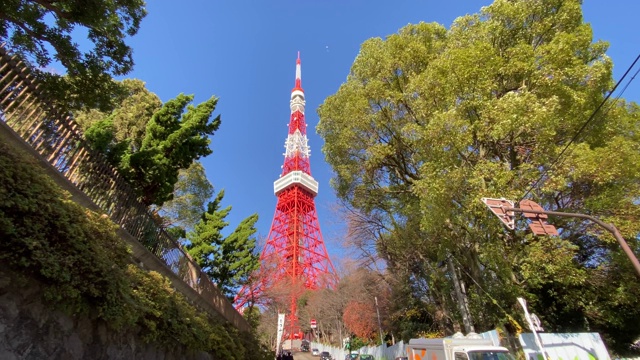 日本的东京塔，风景视频素材