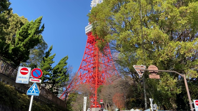 日本的东京塔，风景视频素材