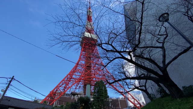 日本的东京塔，风景视频素材