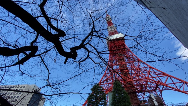 日本的东京塔，风景视频素材