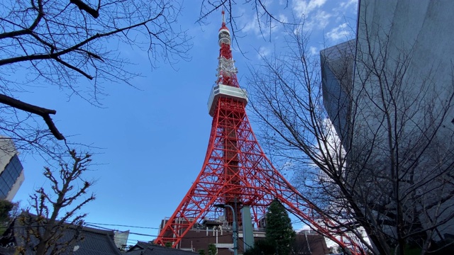 日本的东京塔，风景视频素材