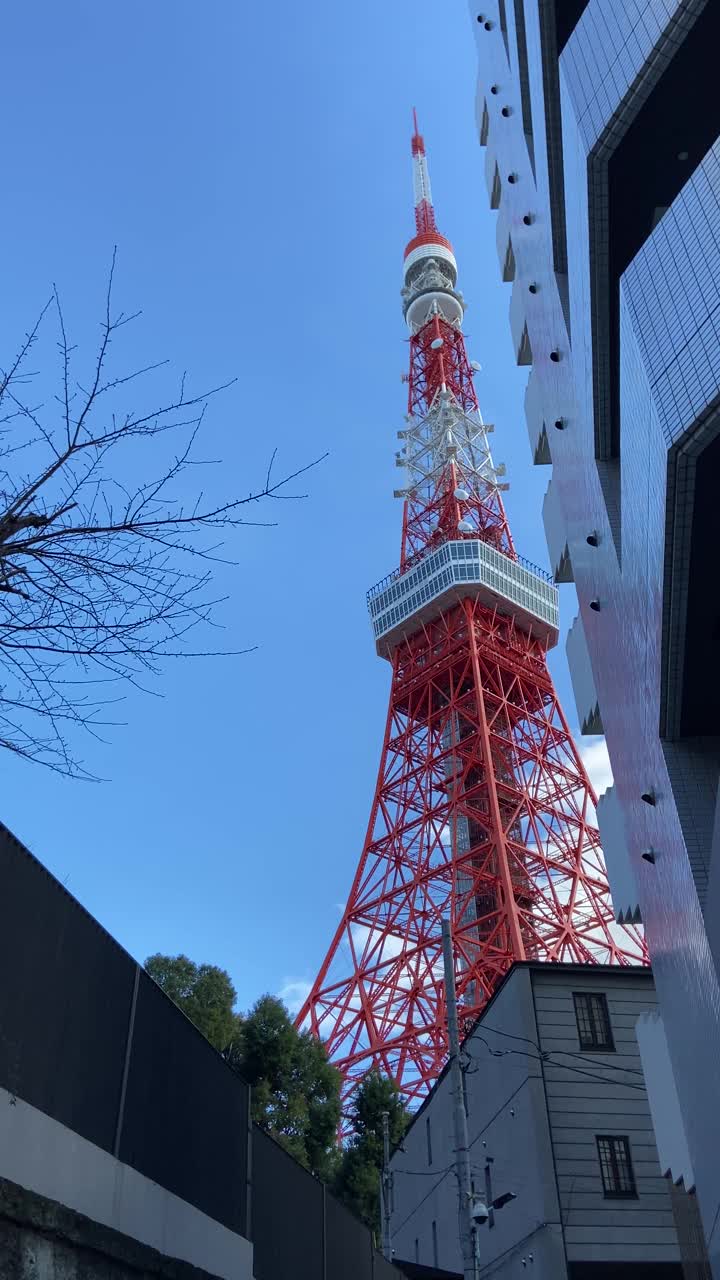 日本的东京塔，风景视频素材